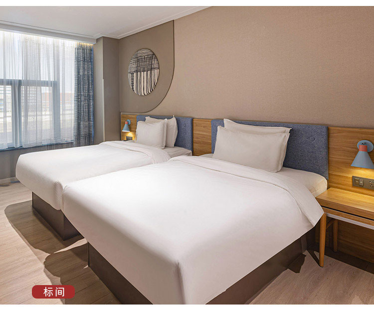 連鎖酒店標(biāo)間家具圖片
